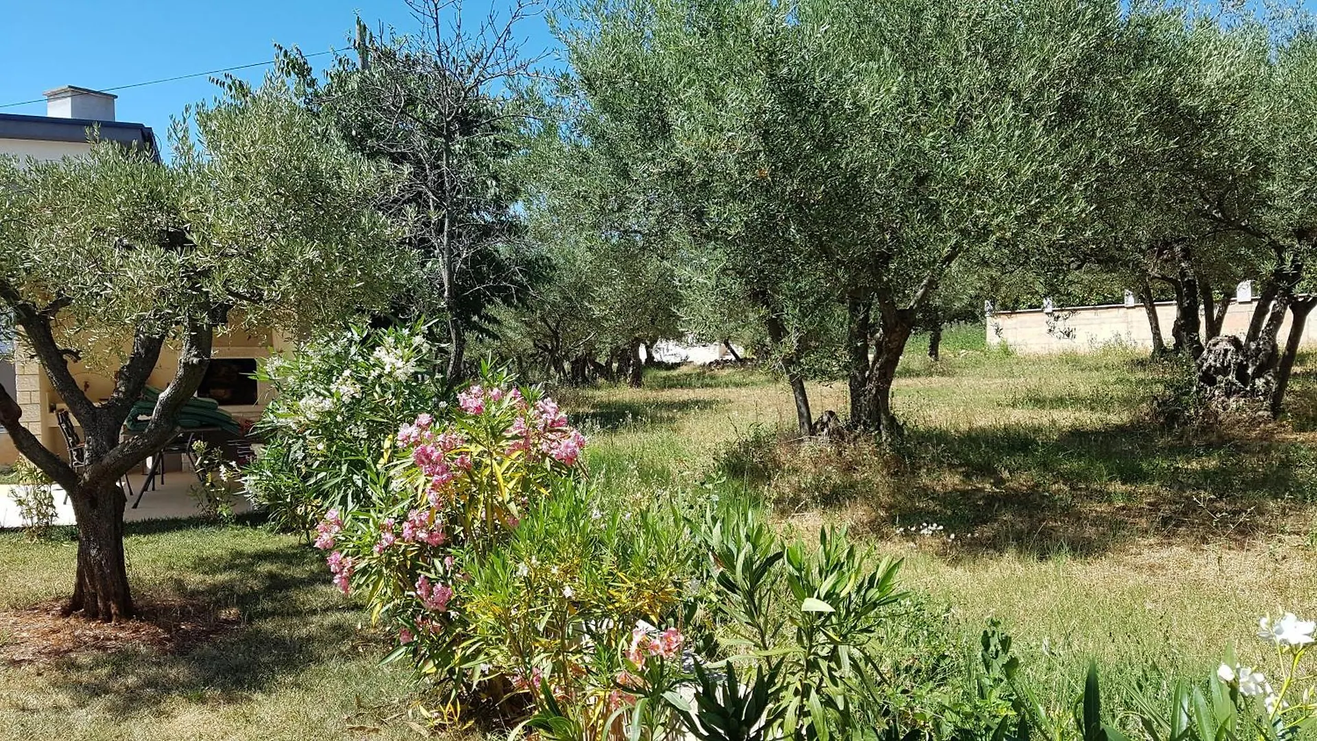 Ginocchetti Villa Kastelir